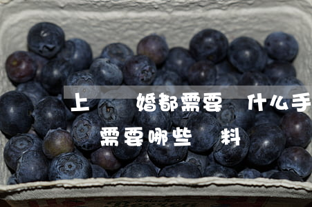 上訴離婚都需要辦什么手續(xù)(離婚上訴需要哪些資料)