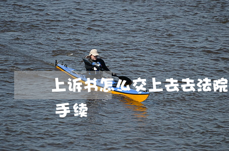 上诉书怎么交上去(去法院交上诉状需要什么手续)
