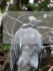上诉别人还钱要多少手续费(起诉别人欠钱不还流程需要多少费用)