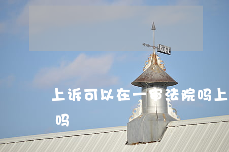 上诉可以在一审法院吗(上诉要到上一级法院吗)