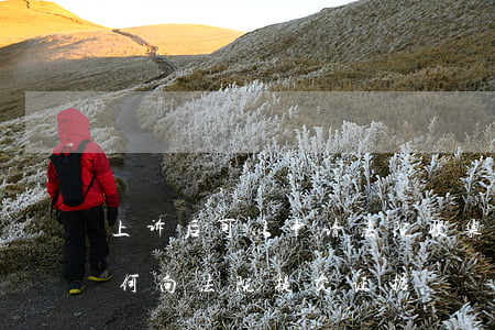 上诉后可以申请法院收集证据吗(民事案件如何向法院提交证据)