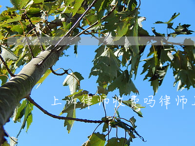 上诉律师收费吗(律师上诉还要收费吗)