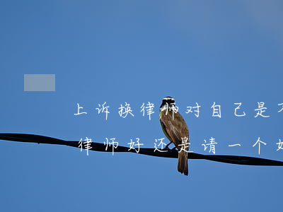 上诉换律师对自己是不是不利(上诉用原来的律师好还是请一个好)