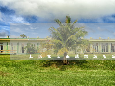上诉状上诉请求怎么写(如何写上诉请求)