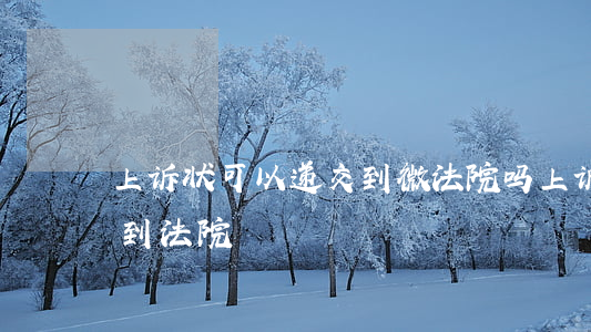 上诉状可以递交到微法院吗(上诉状如何递交到法院)