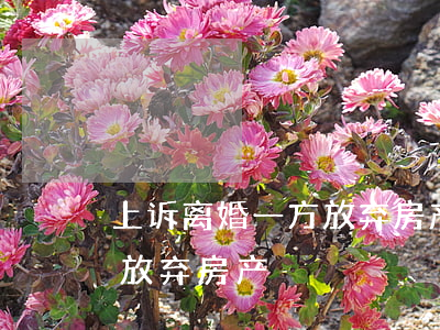上诉离婚一方放弃房产换成钱(离婚协议一方放弃房产)