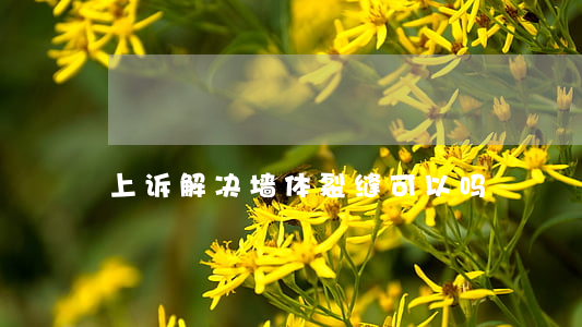 上诉解决墙体裂缝可以吗