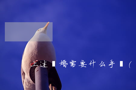 上述離婚需要什么手續(xù)