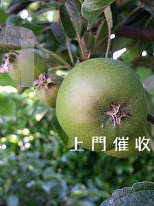 上門催收貸款逾期 借貸上門催收
