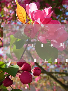 上門逾期被起訴經(jīng)歷(被起訴了會上門嗎)