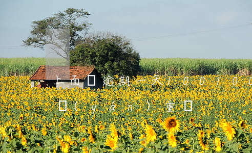 上面寫逾期一天100(100塊逾期15天嚴(yán)重嗎)