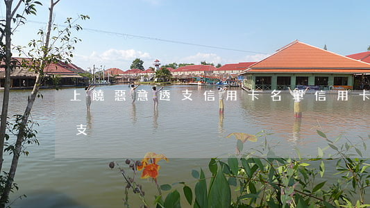 上饒惡意透支信用卡名單(信用卡逾期惡意透支)