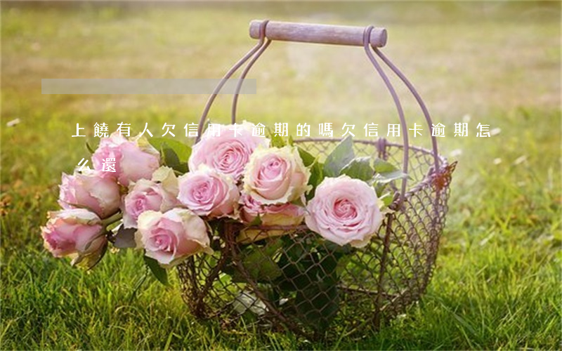 上饒有人欠信用卡逾期的嗎(欠信用卡逾期怎么還)