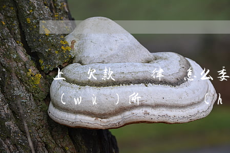 上饒欠款糾紛律師怎么委托(上饒縣律師事務(wù)所電話號(hào)碼)