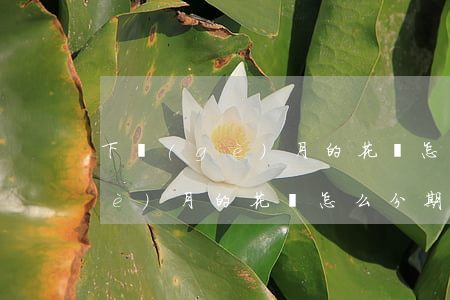 下個(gè)月的花唄怎么分期-下個(gè)月的花唄怎么分期還款