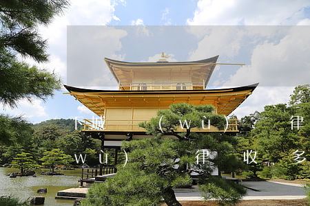 下城債務(wù)糾紛律師收費(下城債務(wù)糾紛律師收費多少)