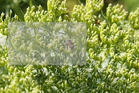 下城區(qū)離婚財(cái)產(chǎn)分配律師怎么委托(離婚房產(chǎn)分割律師電話)