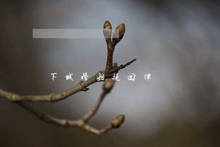 下城婚姻挽回律師