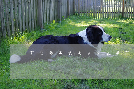 下士的工资是多少(空军下士的工资是多少)