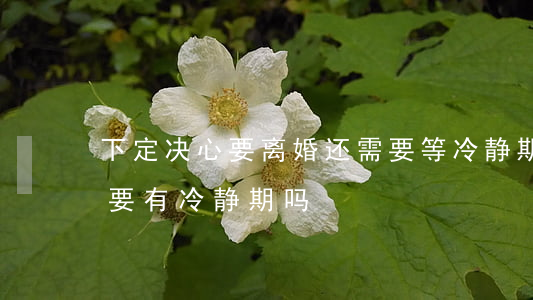 下定决心要离婚还需要等冷静期吗(离婚一定要有冷静期吗)