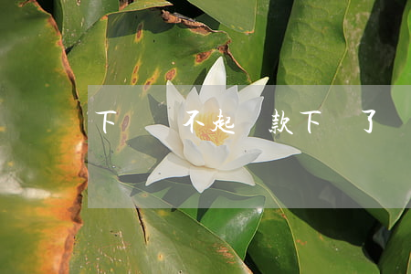 下崗還不起貸款 下崗了還不起房貸怎么辦