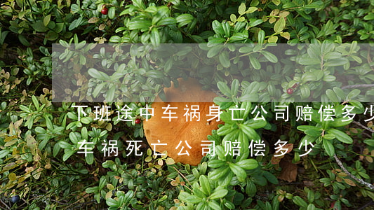 下班途中车祸身亡公司赔偿多少钱(下班途中车祸死亡公司赔偿多少)