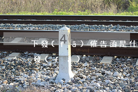 下發(fā)催告函是什么意思(催告函怎么發(fā))