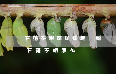 下落不明可以提起離婚訴訟嗎(離婚案件被告下落不明怎么辦)