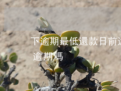 下逾期最低還款日前還完(還款日最低還款算逾期嗎)