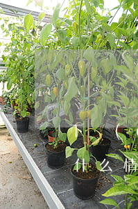 下達(dá)律師函以后會(huì)怎樣(什么情況下發(fā)律師函)