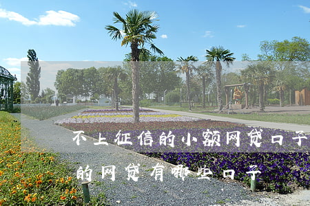 不上征信的小额网贷口子(2020不上征信的网贷有哪些口子)
