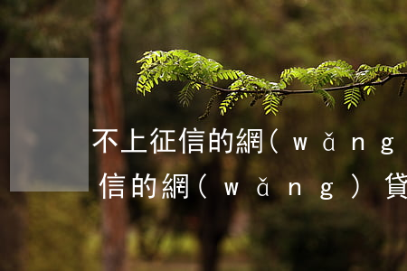 不上征信的網(wǎng)貸app(不上征信的網(wǎng)貸app)