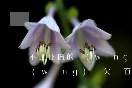 不上征信的網(wǎng)貸欠幾千塊錢(網(wǎng)貸欠幾百塊錢上征信嗎)