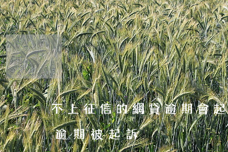 不上征信的網貸逾期會起訴嗎（上征信的網貸逾期被起訴）