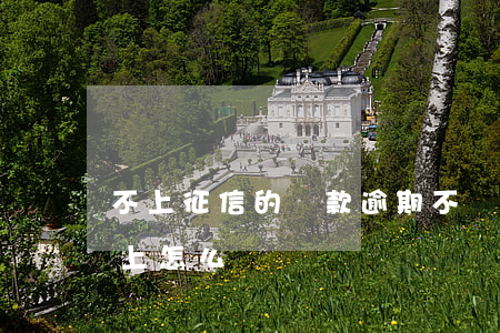 不上征信的貸款逾期不還(信用貸款逾期還不上怎么辦)