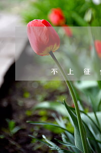 不上征信的逾期的欠款怎么处理-