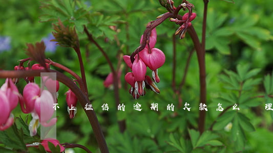 不上征信的逾期的欠款怎么處理-
