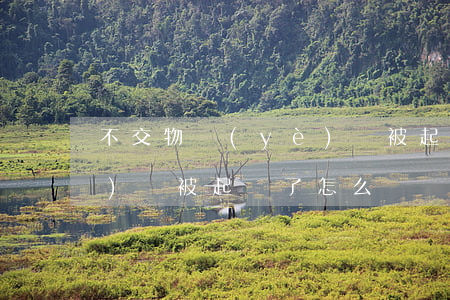 不交物業(yè)費被起訴(不交物業(yè)費被起訴了怎么辦)