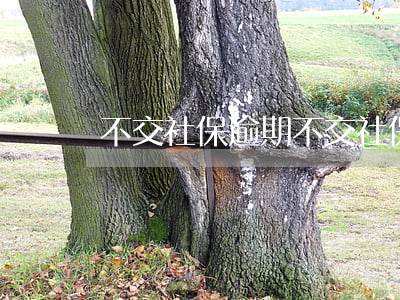不交社保逾期(不交社保逾期的能找到新單位嗎)