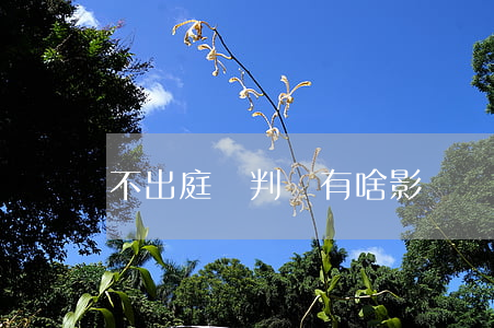 不出庭對判決有啥影響