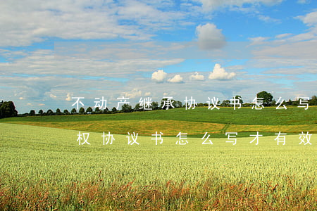 不动产继承协议书怎么写(房产放弃房产继承权协议书怎么写才有效)