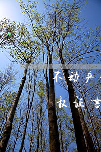 不动产证是什么意思 什么是不动产证（不动产权证书与房产证的区别）