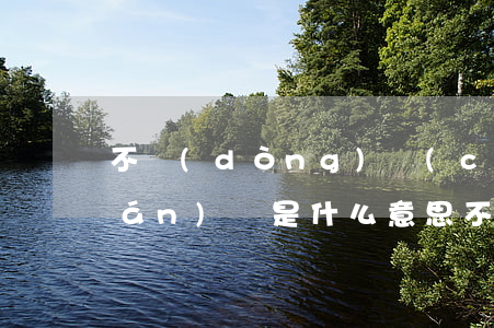 不動(dòng)產(chǎn)權(quán)證是什么意思（不動(dòng)產(chǎn)權(quán)證的作用）