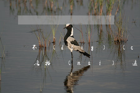 不動(dòng)產(chǎn)證法院可以拍賣(mài)嗎(法院拍賣(mài)的房子如何辦理不動(dòng)產(chǎn)證)