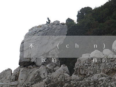 不動產(chǎn)權(quán)證法院可以拍賣嗎(沒有房產(chǎn)證可以拍賣嗎?法院拍賣沒有房產(chǎn)證的房子能買)
