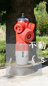 不動產(chǎn)物權(quán)的設(shè)立變更轉(zhuǎn)讓和消滅應(yīng)當依照法律規(guī)定