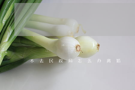 不去民政局怎么办离婚