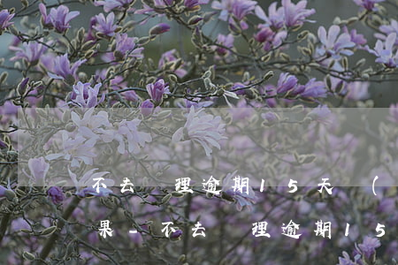 不去處理逾期15天會(huì)有什么后果-不去處理逾期15天會(huì)有什么后果嗎