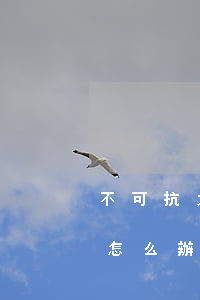 不可抗力時貸款逾期(銀行貸款逾期無力償還怎么辦)