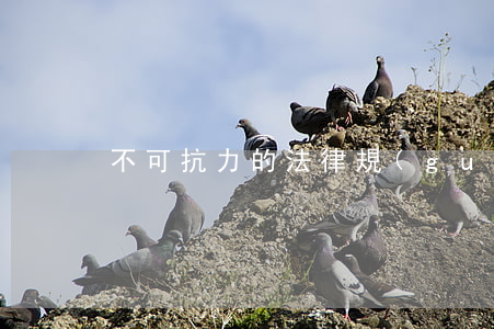 不可抗力的法律規(guī)定